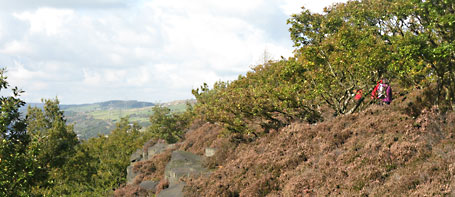 Wharncliffe in Autumn