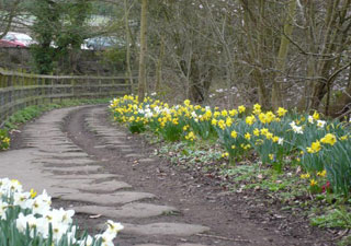 Silkstone Waggonway 3