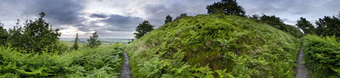 Penistone Landscape - Hartcliffe