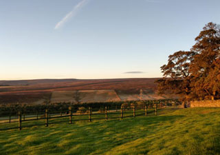 Thurlmoor Caravan Park 3