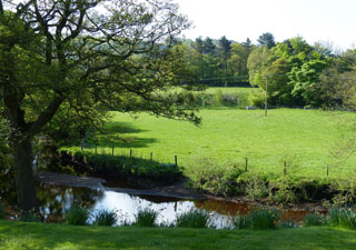 The Studio at Millbrook B&B, Millhouse Green, Penistone, Barnsley, Sheffield